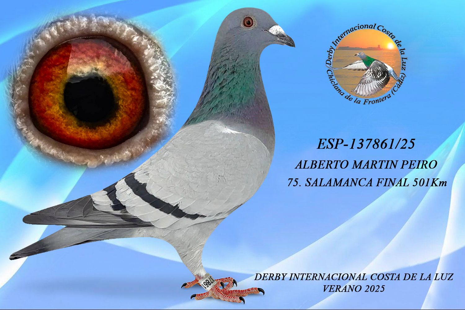 ESP-137861/25 - MACHO - ALBERTO MARTIN PEIRO - 75ª CLASIFICADA