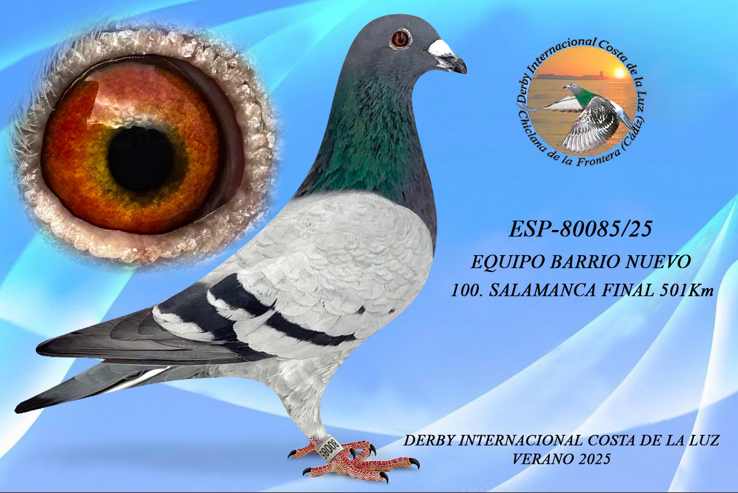 ESP-80085/25 - MACHO - EQUIPO BARRIO NUEVO - 100ª CLASIFICADA