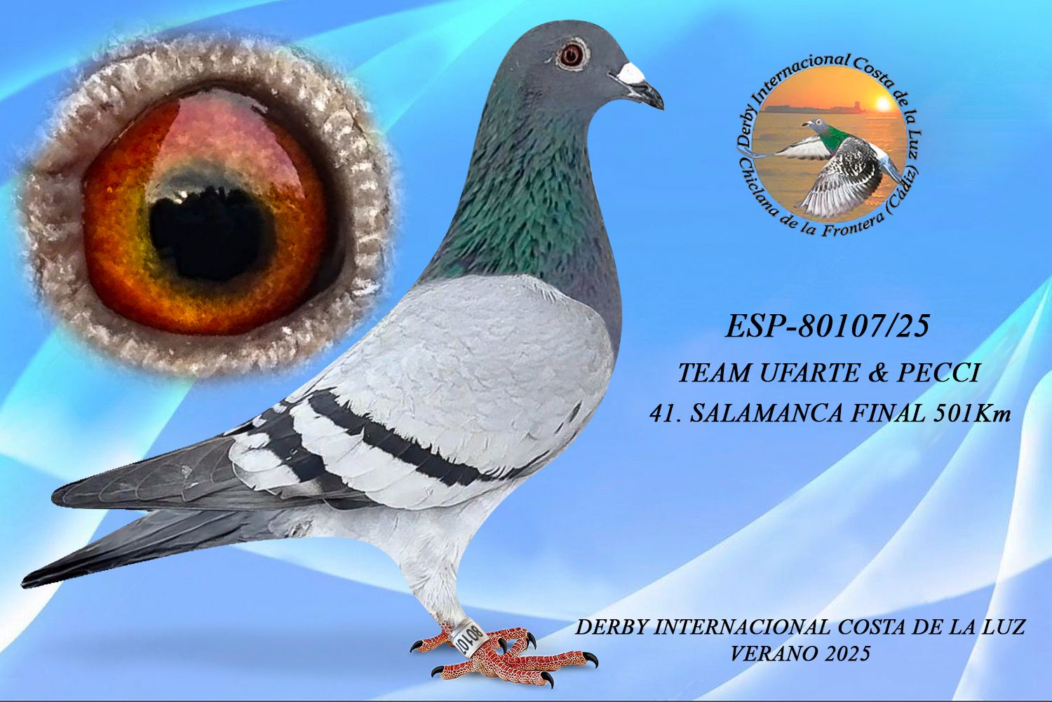 ESP-80107/25 - MACHO - TEAM UFARTE & PECCI - 41ª CLASIFICADA - 6ª AS PALOMA