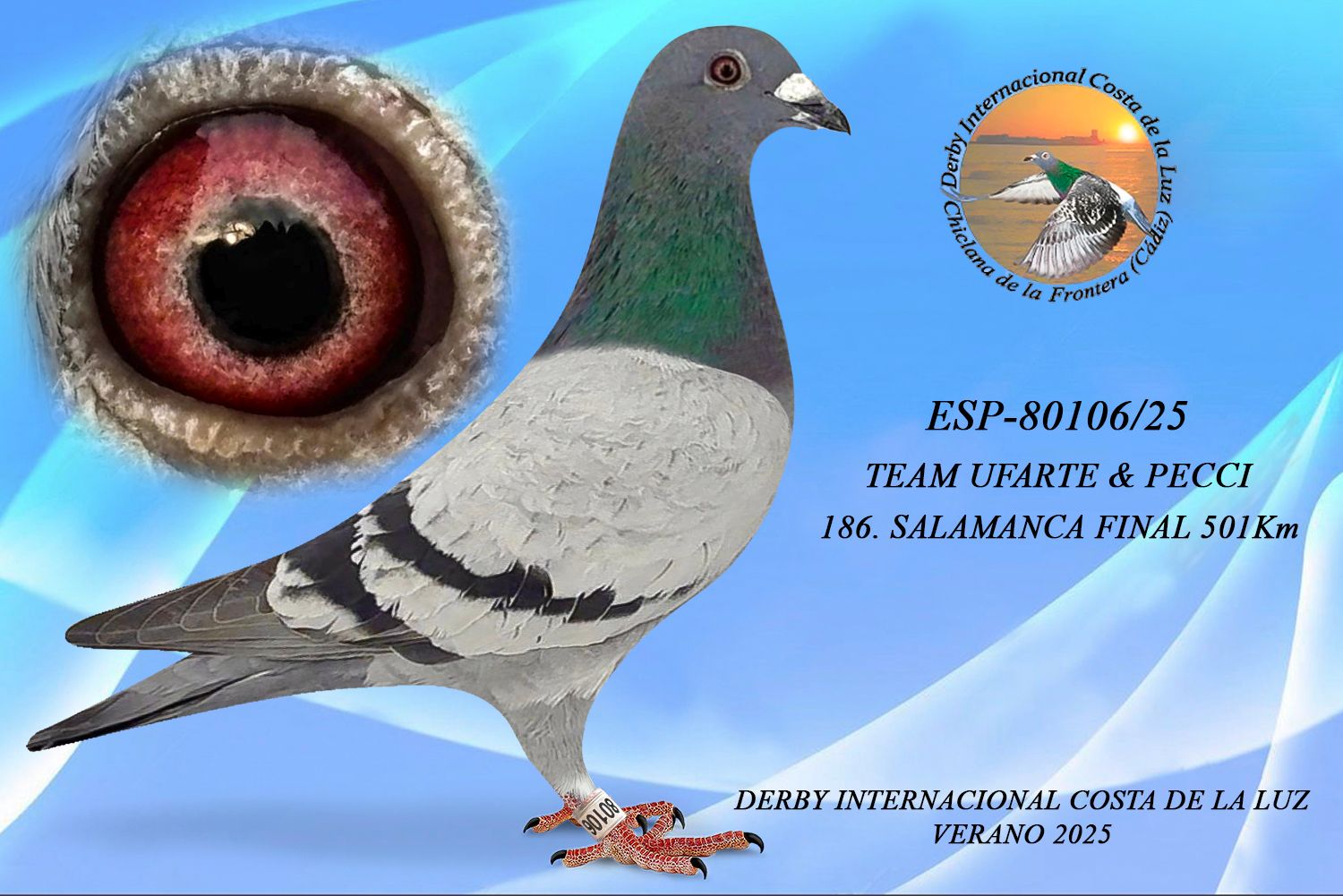 ESP-80106/25 - MACHO - TEAM UFARTE & PECCI - 186ª CLASIFICADA