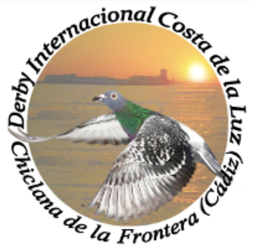 7 SUBASTA DE LAS PALOMAS FINALISTAS DEL DERBY INTERNACIONAL COSTA DE LA LUZ