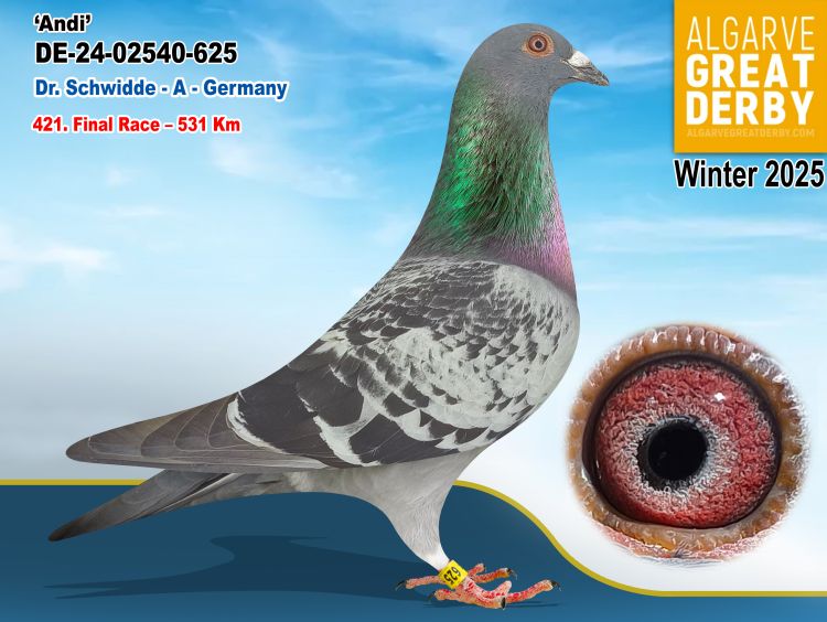 DE-02540-625/24 - HEIZ - ECKHARD, DR SHWIDDE- 421ª FINAL