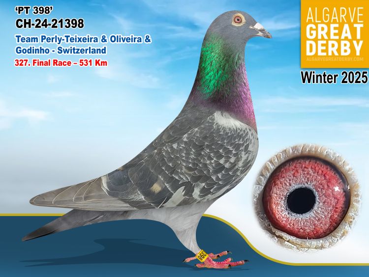 CH -21398/24 - TEAM PERLY - TEIXEIRA & OLIVEIRA & GODINHO - SWITZERLAND - 327ª FINAL
