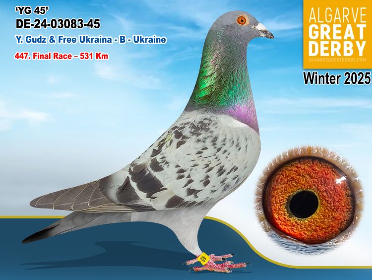 DE-03083-45/24 - YEVHENIY GUDZ - 447ª FINAL