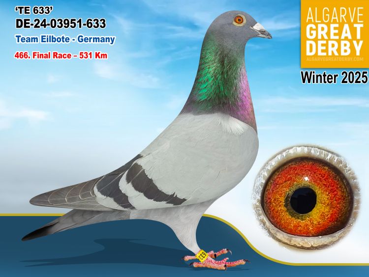 DE-03951-633/24 - MACHO - TEAM EILBOTE - 466ª FINAL