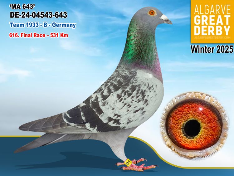 DE-04543-643/24 - TEAM 1933 - 616ª FINAL