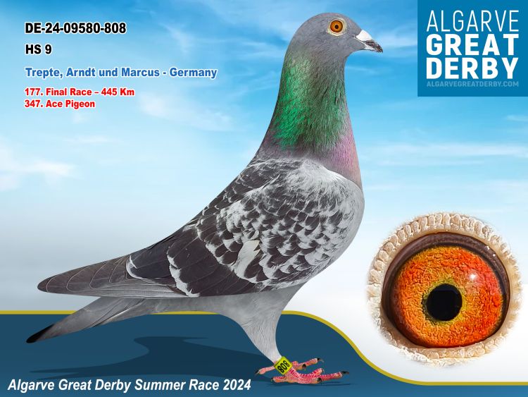 DE-09580-8O8/24 - TREPTE,ARNDT+MARCU - 56ª FINAL