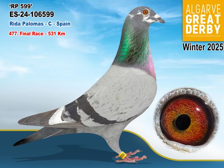 ESP-106599/24 - RIDA PALOMAS - 477ª FINAL