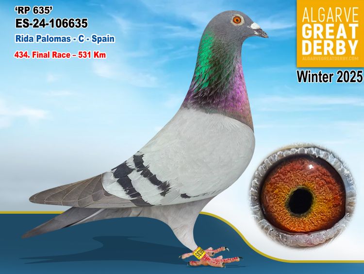 ESP-106635/24-RIDA PALOMAS -434 FINAL