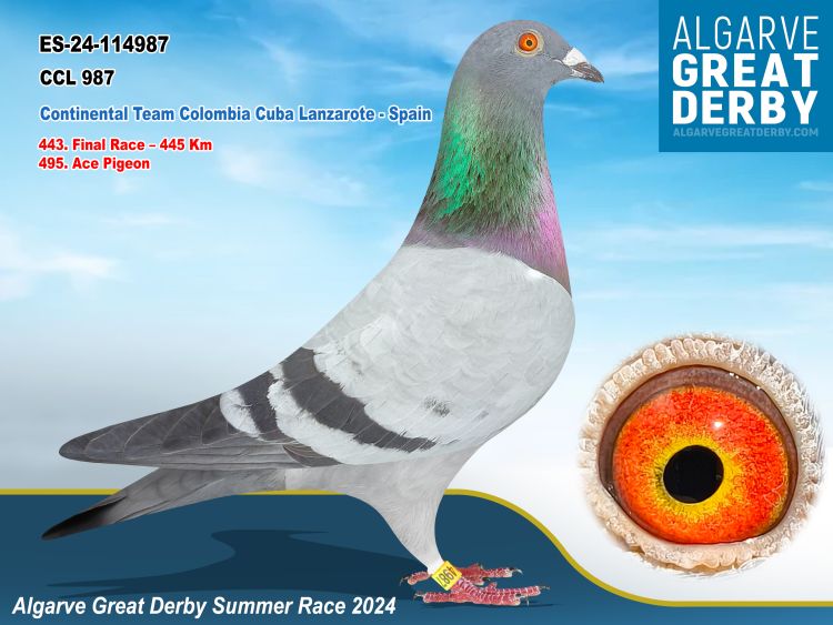 ESP-114987/24 - MACHO - CONTINENTAL TEAM COLOMBIA - CUBA - LANZATOTE- 443ª FINAL
