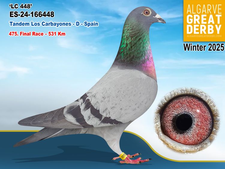 ESP-166448/24 - TANDEM LOS CARBAYONES - 475ª FINAL