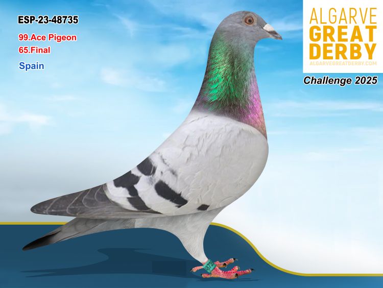 ESP-48735/23 - ALEX SEGURA - 65ª FINAL