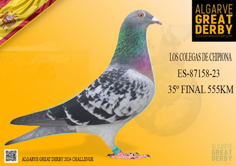 ESP-87158/23 - LOS COLEGAS DE CHIPIONA -  62ª FINAL