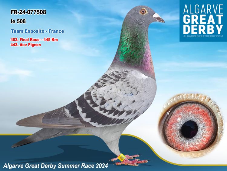 FR-077508/23 - HEMBRA - TEAM EXPOSITO - 442ª FINAL