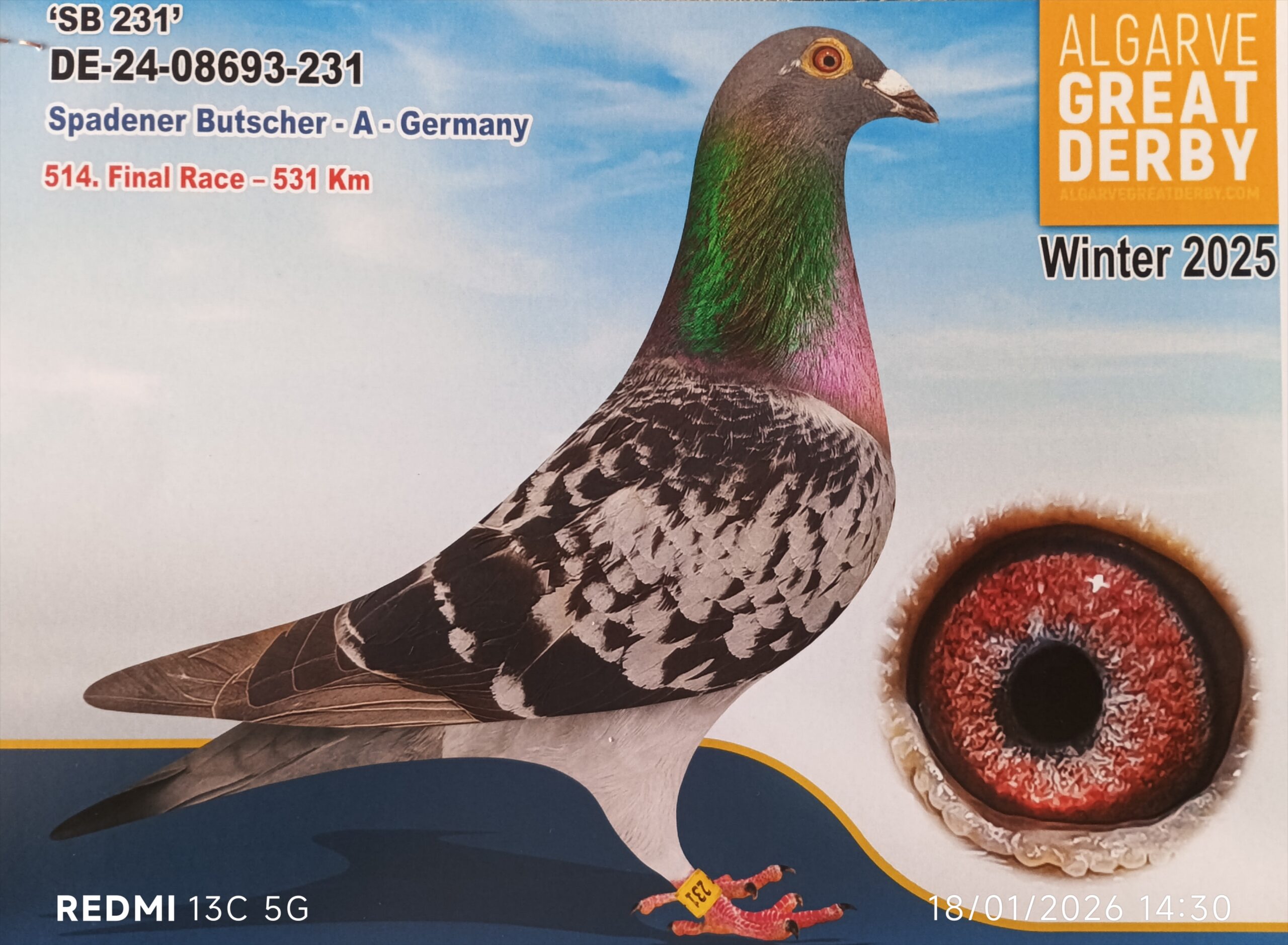 DE-08693-231/24 - TH. U. ERIC, KRISTINA KRUSE - 514ª FINAL