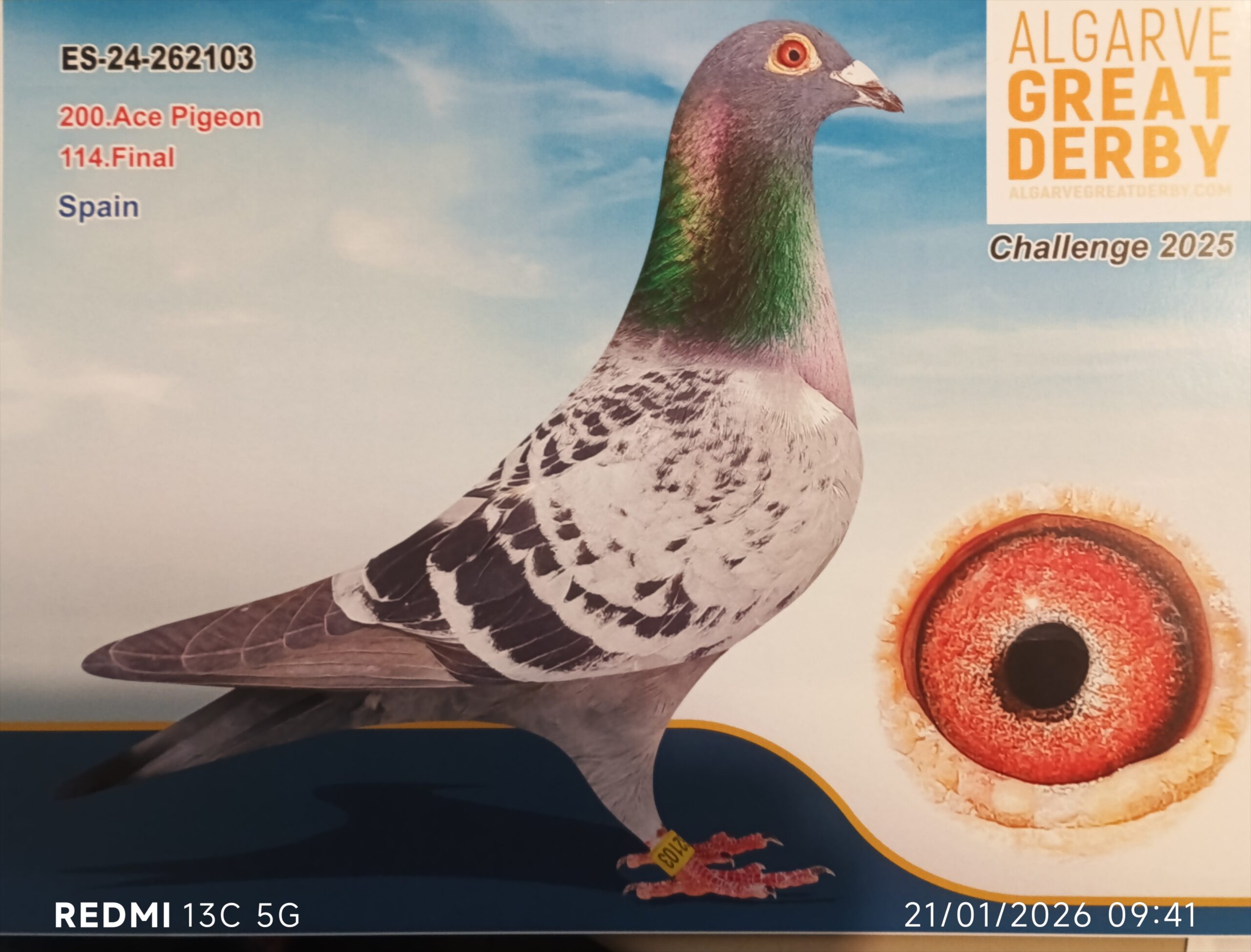 ESP-262103/24 - PEÑA SAL Y RETAMA - 114ª FINAL