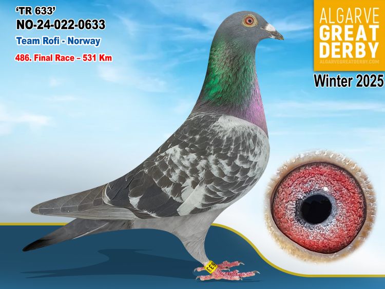 NO-0022-0633/24 - CRISTIAN SELLE - 486 FINAL