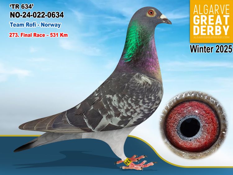 NO-0022-0634/24 - CRISTIAN SELLE - 273ª FINAL