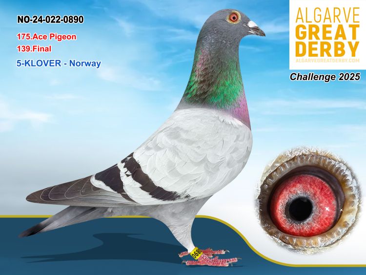 NO-0022-0890/24 - KLOVER- 139ª FINAL