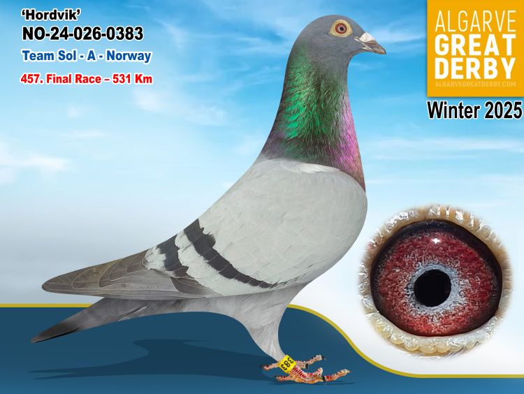 NO-026-0383/24 - TEAM SOL - 457ª FINAL