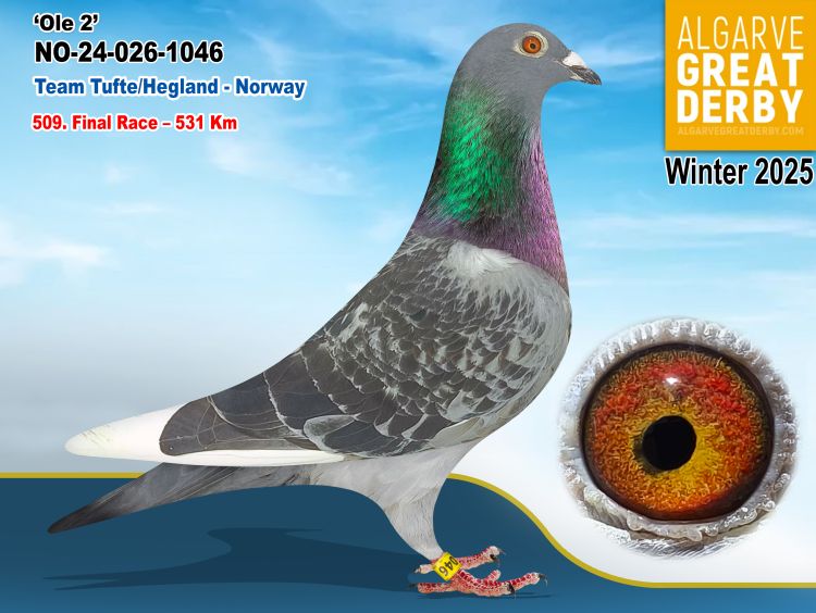 NO-026-1046/24 - HEMBRE - TEAM TUFTE/HEGLAND - 509ª FINAL