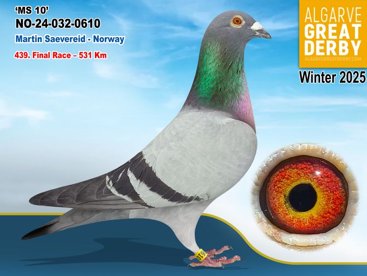 NO-032-0610/23 -MARTIN SAEVEREID-439ª FINAL