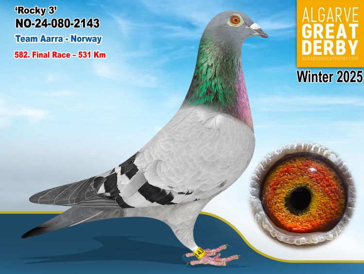 NO-080-2143/24 - TEAM AARRA - 582ª FINAL