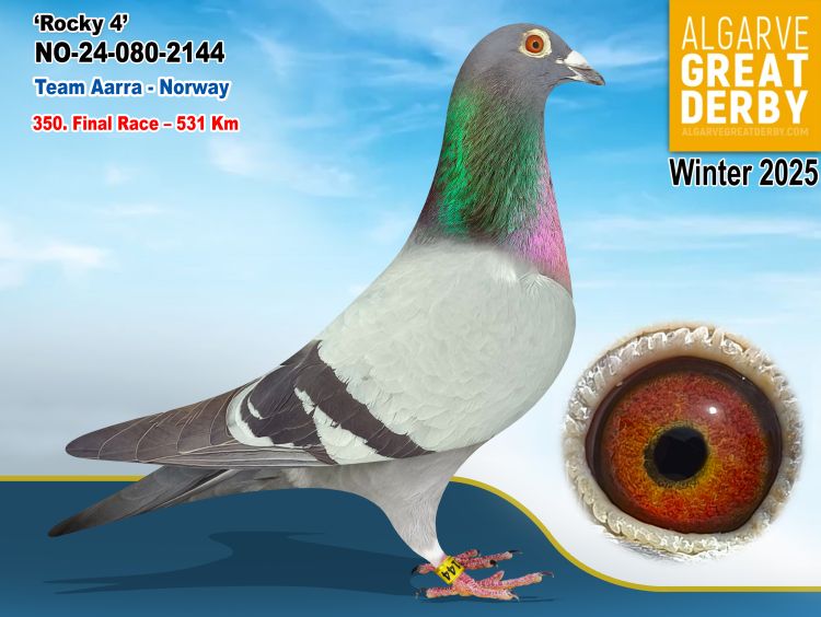 NO-080-2144/24 - TEAM AARRA -350ª FINAL