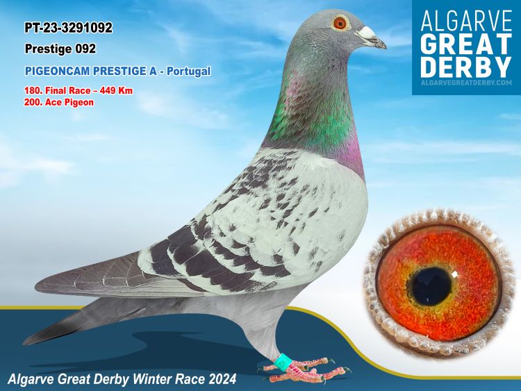 PT-3291092/23 - PIGEONSCAM PRESTIGE -96ª FINAL