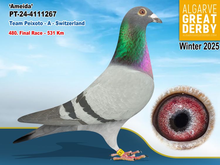 PT-4111267/24 - TEAM PEIXOTO - 480ª FINAL