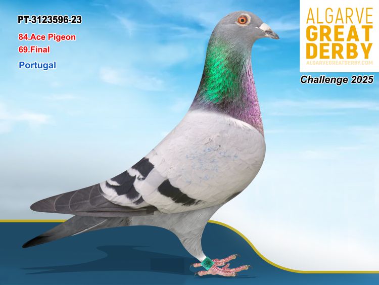 PT-3123596/23 - POMBAL RED STARD - 69ª FINAL