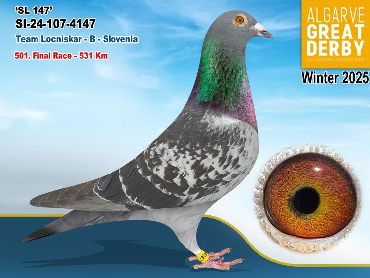 SI-107-4147/24 - TEAM LOCNISKAR - 501ª FINAL