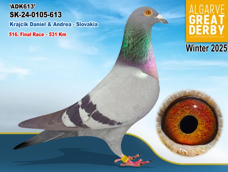 SK-0105-613/24 - MACHO - KRAJCIK DANIEL &  ANDREA - 516ªFINAL