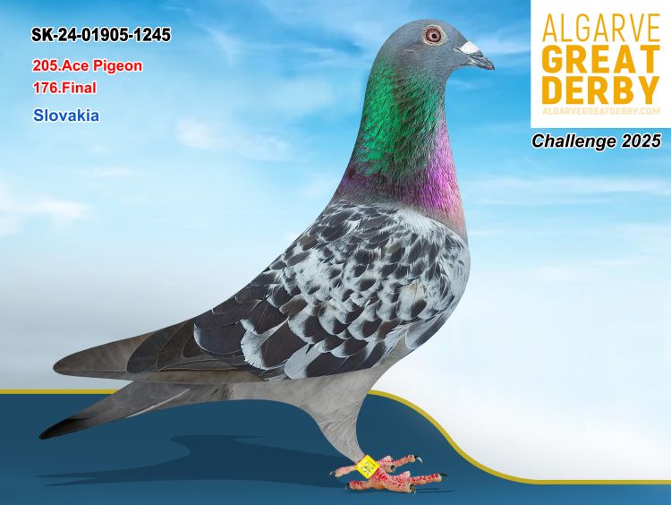 SK-01905-1245/24 -SPAÑUR HUBERT - 176ªFINAL