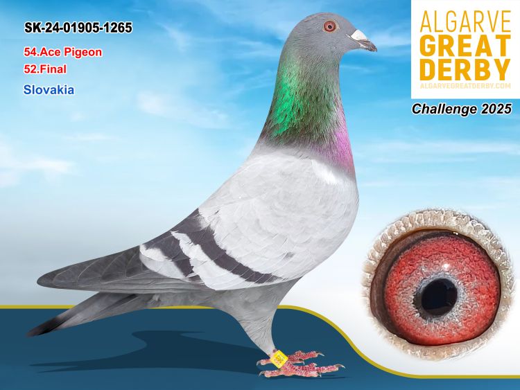 SK-01905-1265/24 - HEIZ - ECKHARD, DR SHWIDDE - 52ª FINAL