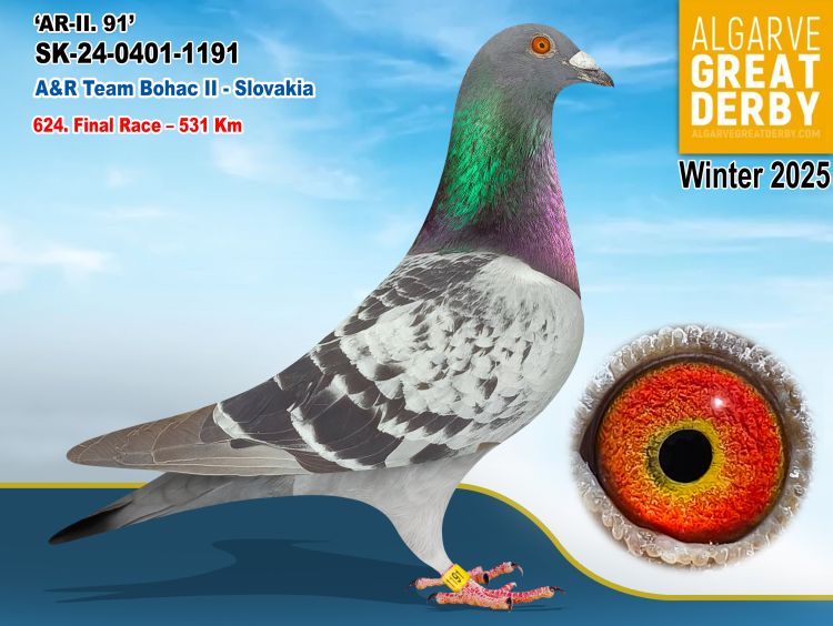 SK-0401-1191/24 - MACHO - TEAM BOHAC - 624ª FINAL