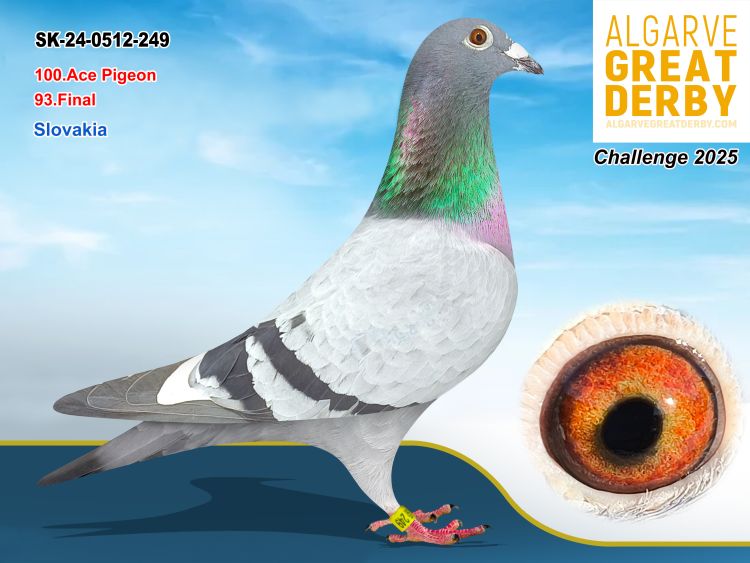 SK-0512-249/24 - TEAM MILOS KUCERA & MIRO