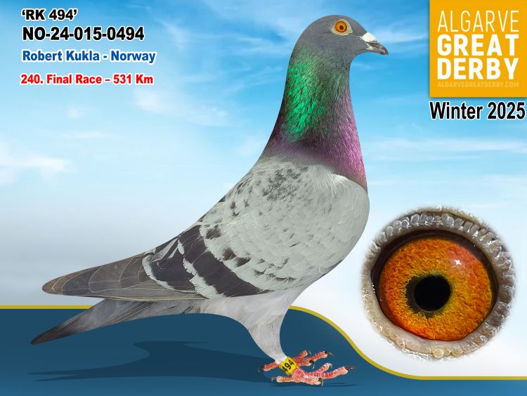 NO-015-0494/24 - MACHO - ROBERT KURLA - 240ª FINAL