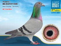 DE-25-01411-935 - MACHO - Alte Freunde