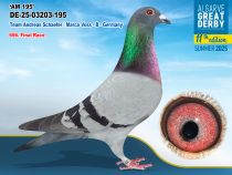 DE-25-03203-195 - MACHO - Team Andreas Schaefer / Marco Voss -