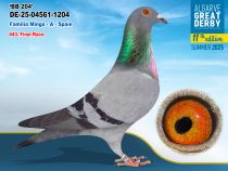 DE-25-04561-1204 - HEMBRA - Familia Mingo