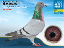 DE-25-0514-834 - MACHO - Team-Sylt-2000 - I - Held