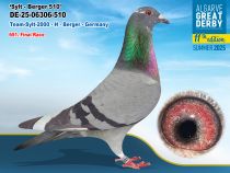 DE-25-06306-510 - HEMBRA - Team-Sylt-2000 - H - Berger