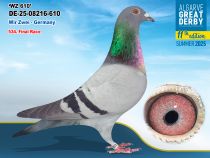 DE-25-08216-610 - MACHO -Wir Zwei