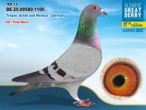 DE-25-09580-1106 - MACHO - Trepte, Arndt und Markus