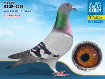 ES-25-42636 - MACHO - Alex Segura