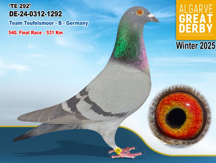 DV-0312-1292/24 - HEMBRA - TEAM TEUFELSMOOR