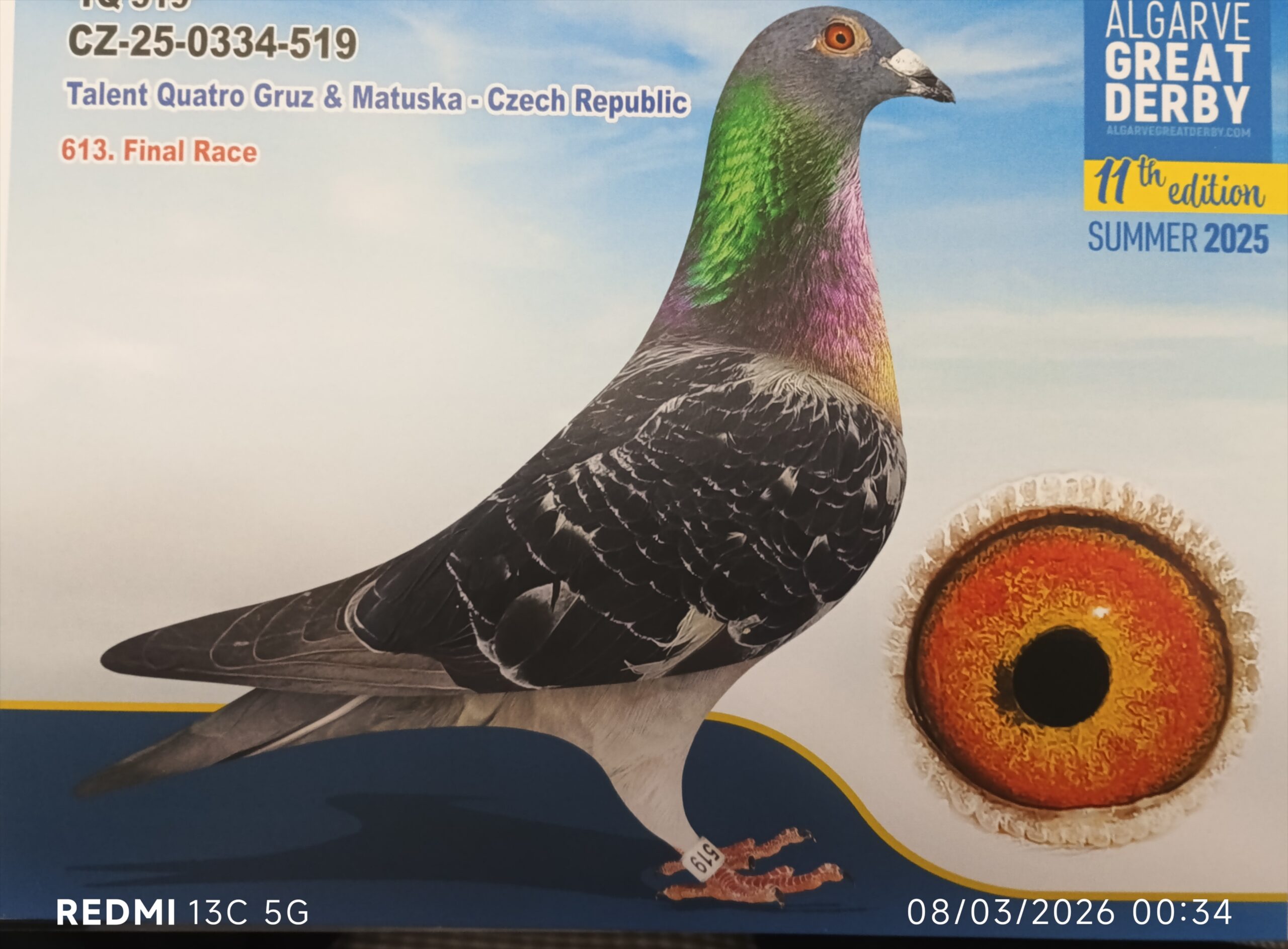 CZ-25-0334-519 - MACHO - Talent Quatro Gruz & Matuska