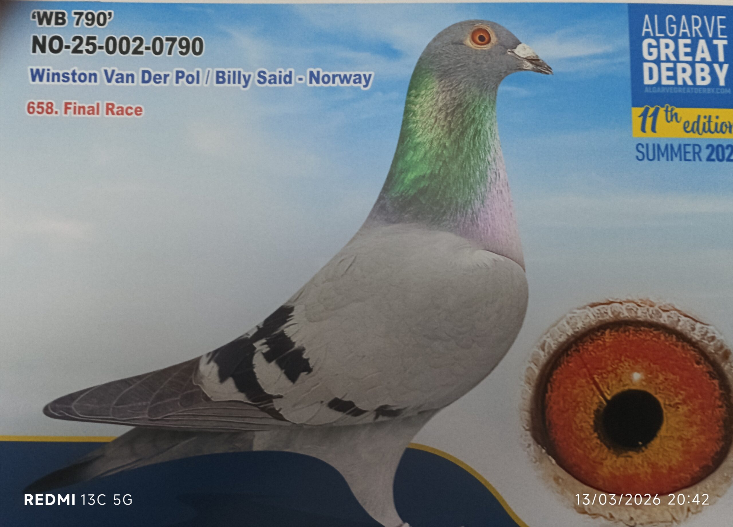 NO-25-002-0790 - HEMBRA - Winston Van Der Pol / Billy Said