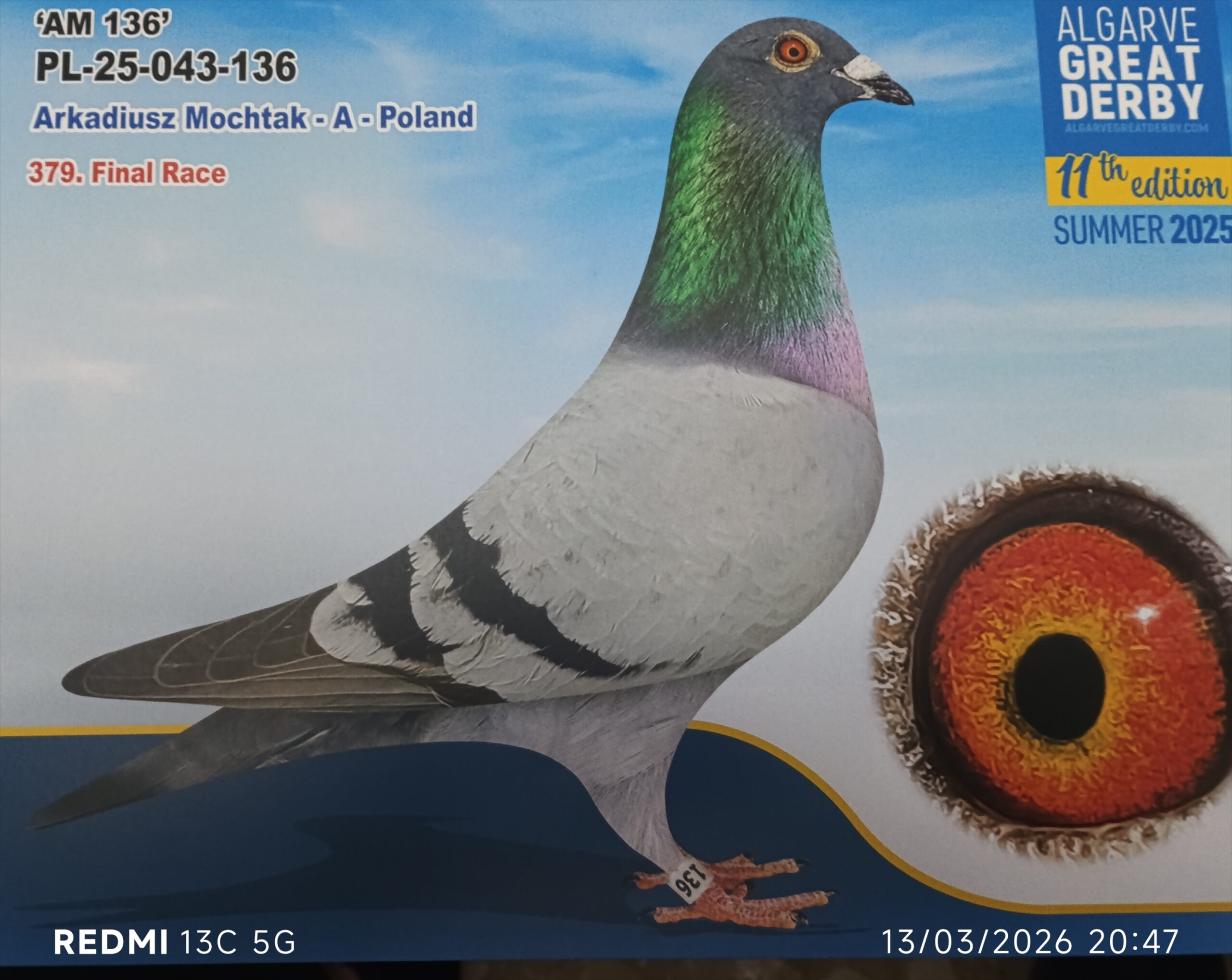 PL-25-043-136 - MACHO - Colombófilo Arkadiusz Mochtak